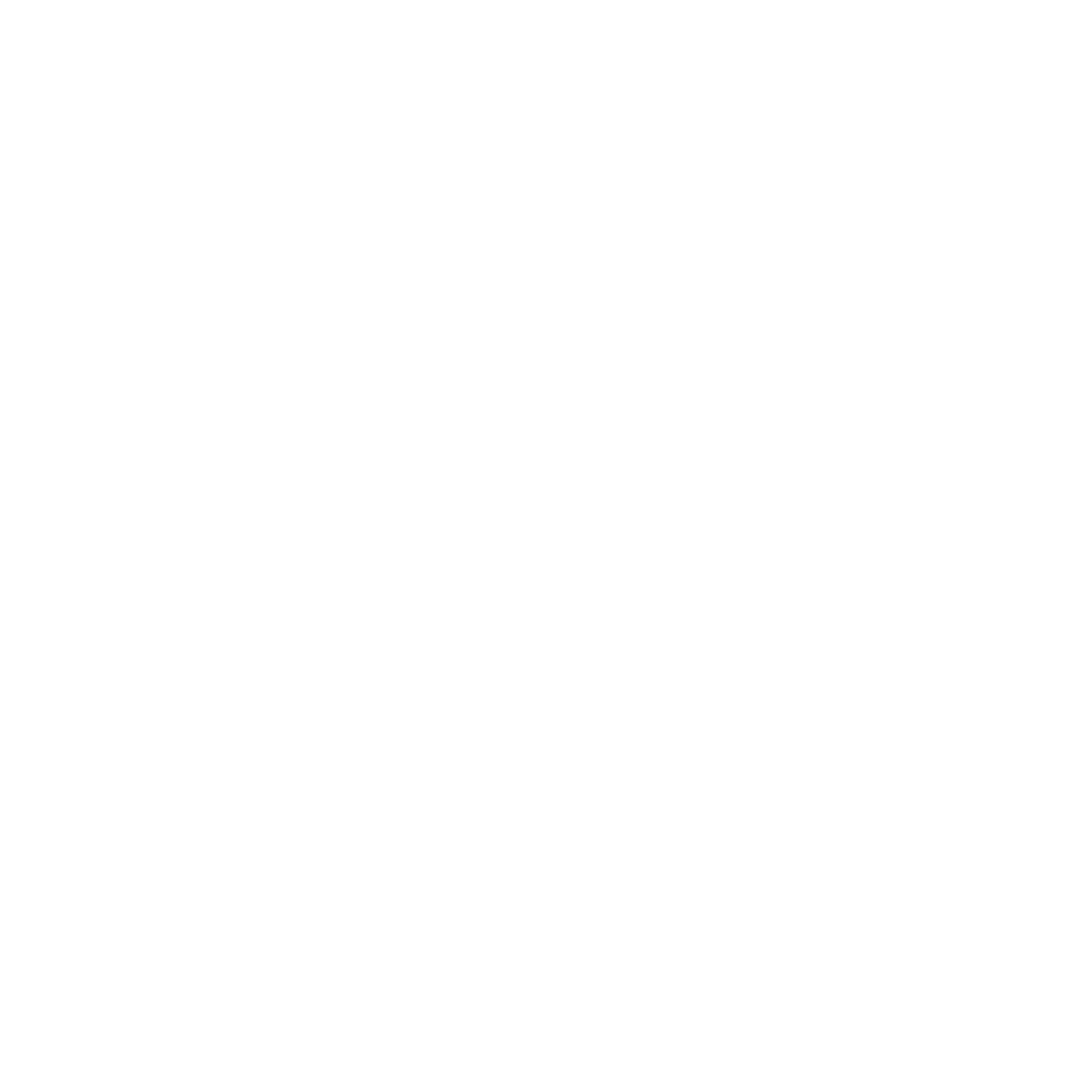 AVC Business Intelligence